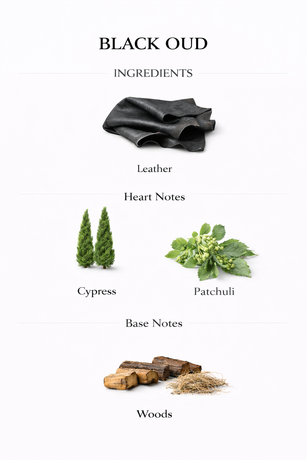 𝐁𝐋𝐀𝐂𝐊 𝐎𝐔𝐃