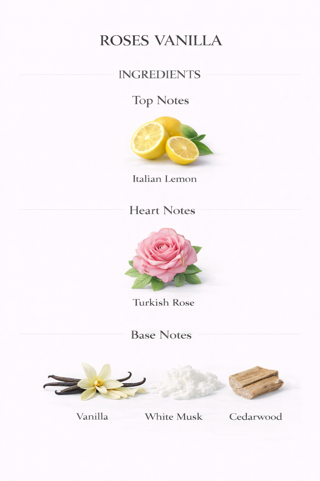 𝐑𝐎𝐒𝐄 𝐕𝐀𝐍𝐈𝐋𝐋𝐀