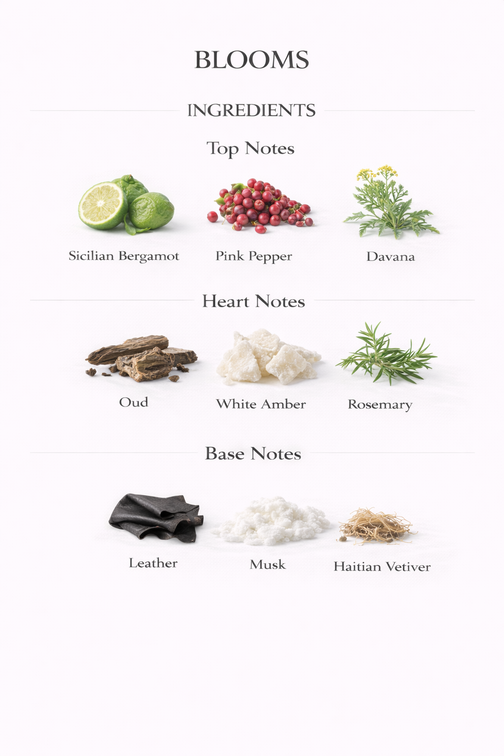 𝐁𝐋𝐎𝐎𝐌𝐒