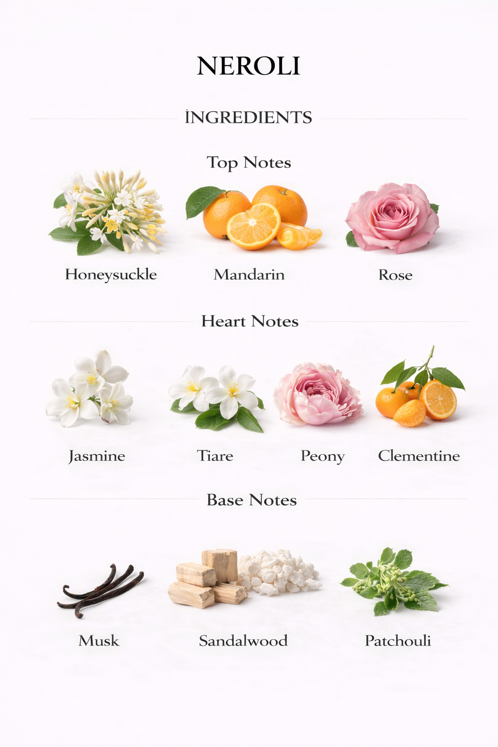 𝐍𝐄𝐑𝐎𝐋𝐈