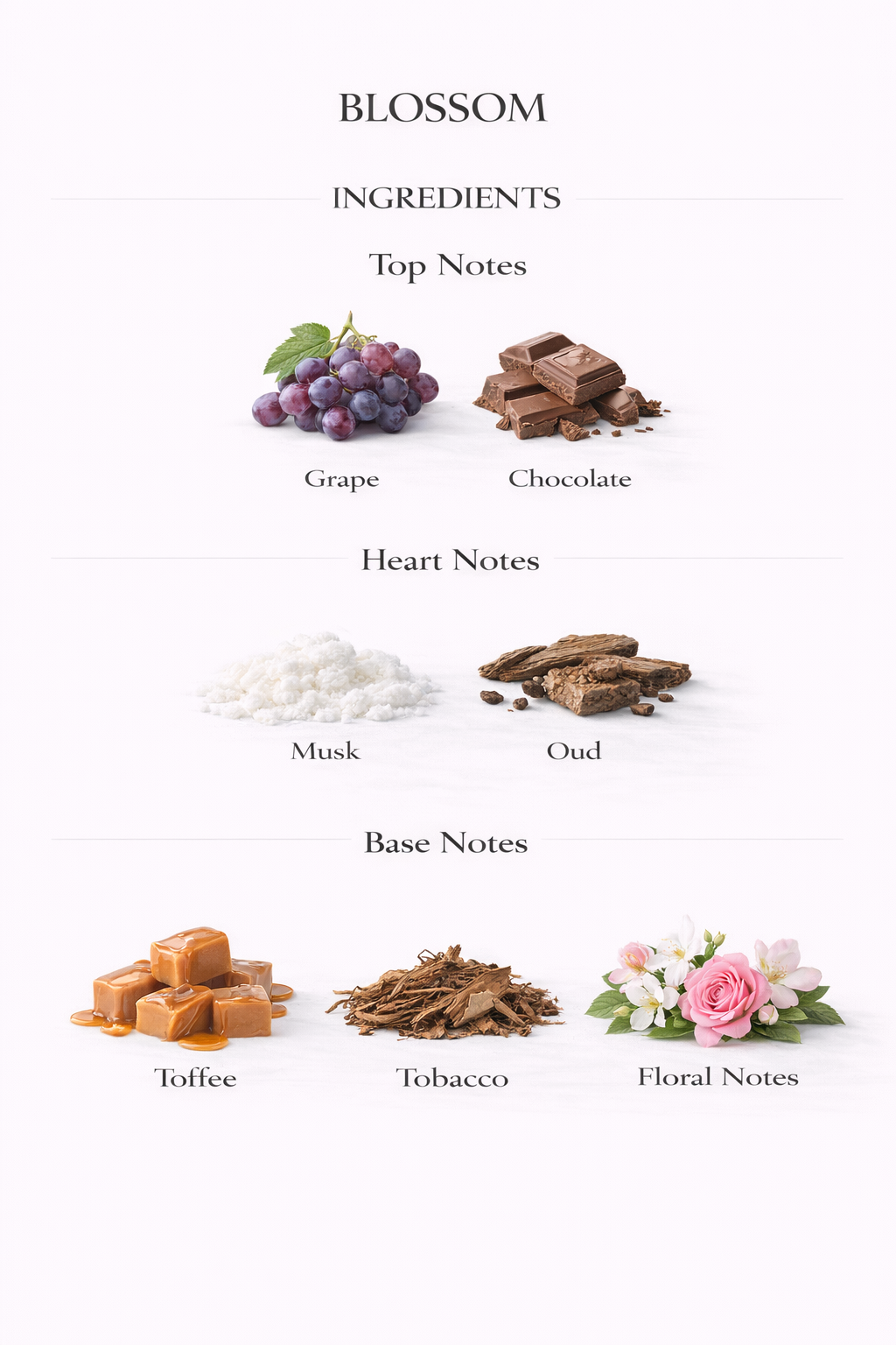 𝐁𝐋𝐎𝐒𝐒𝐎𝐌