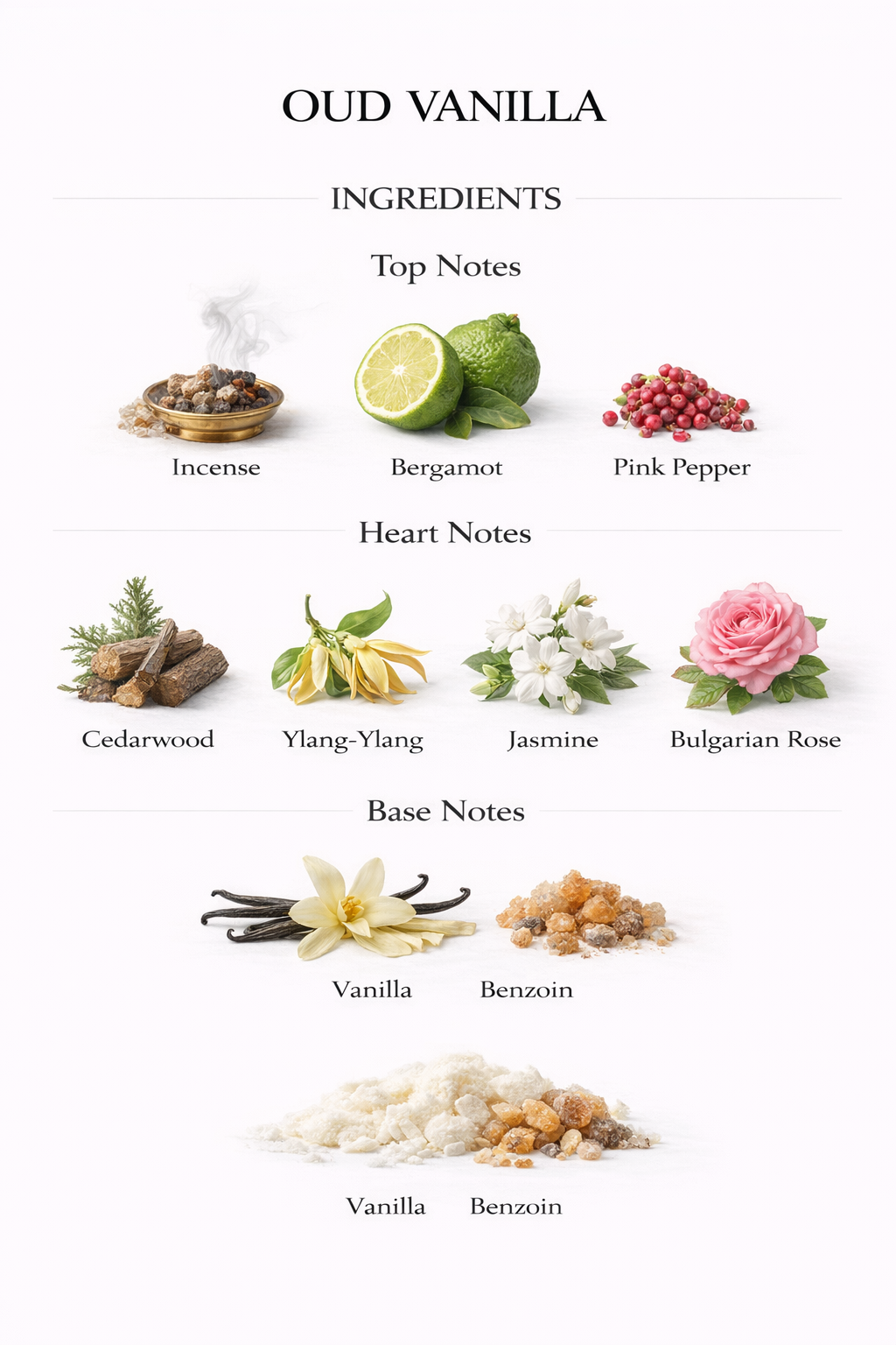 𝐎𝐔𝐃 𝐕𝐀𝐍𝐈𝐋𝐋𝐀