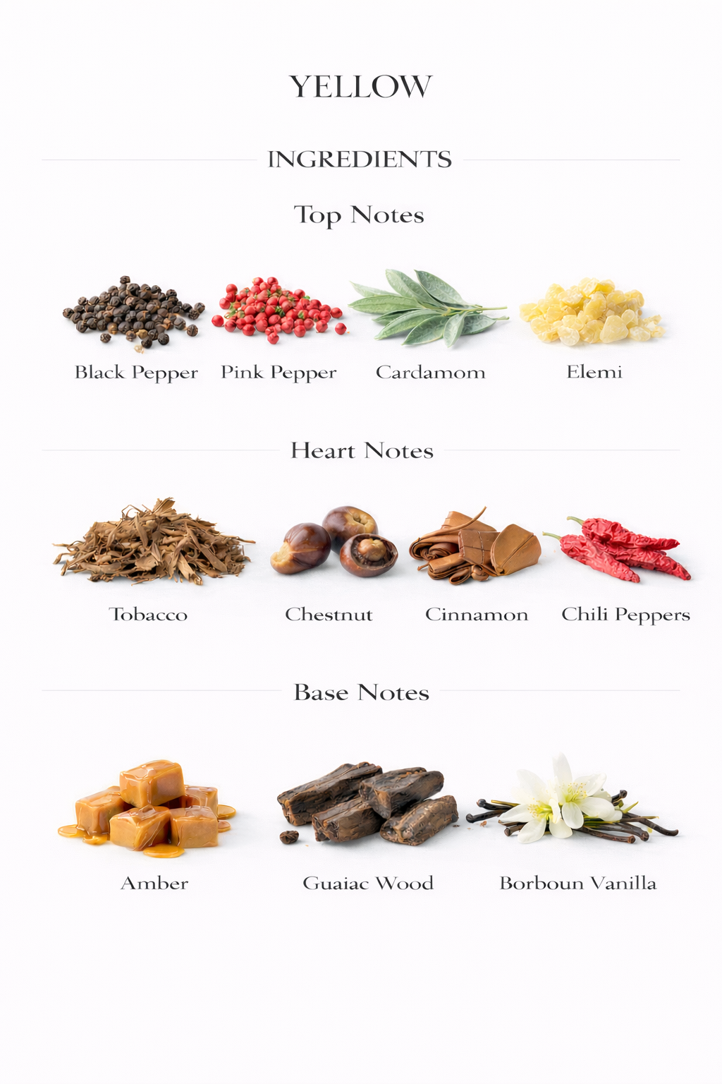 𝐘𝐄𝐋𝐋𝐎𝐖